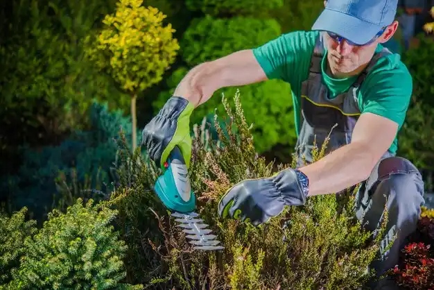 landscaping services North Bay Shore